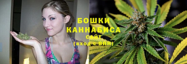 гидра Нязепетровск