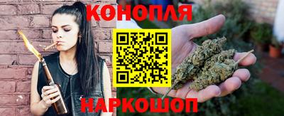 прущие грибы Пенза