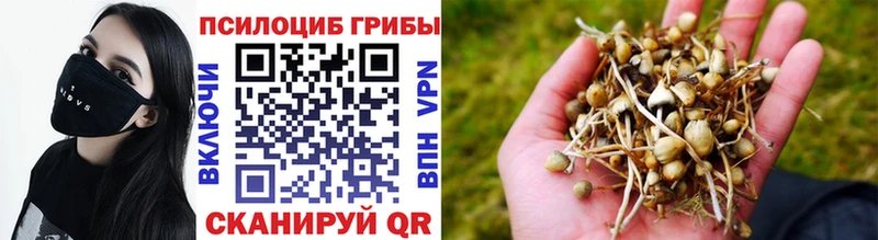 Псилоцибиновые грибы прущие грибы  Холмск 