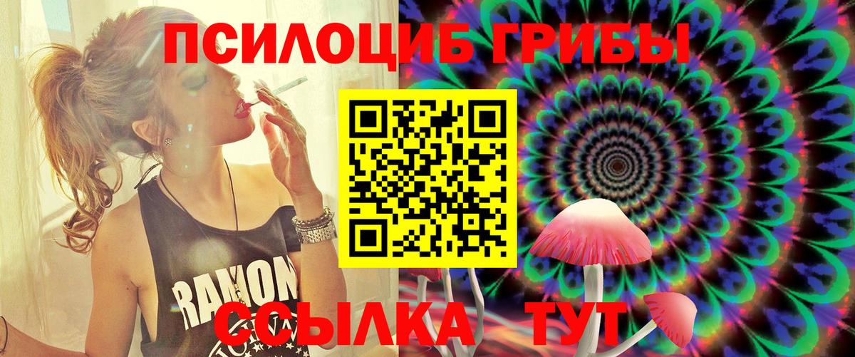 Холмск  закладка  Вход с VPN  Галлюциногенные грибы прущие грибы 