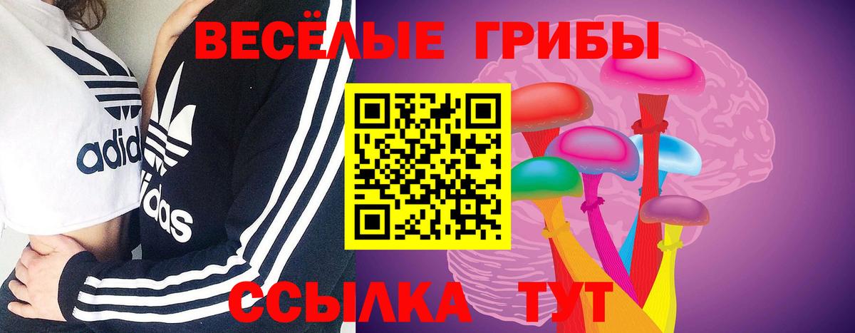 Галлюциногенные грибы Magic Shrooms Холмск